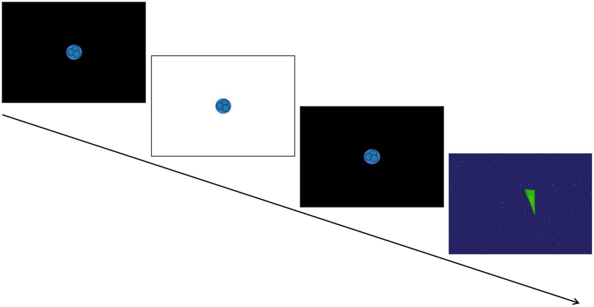 Associations between the pupil light reflex and the broader autism phenotype in children and adults